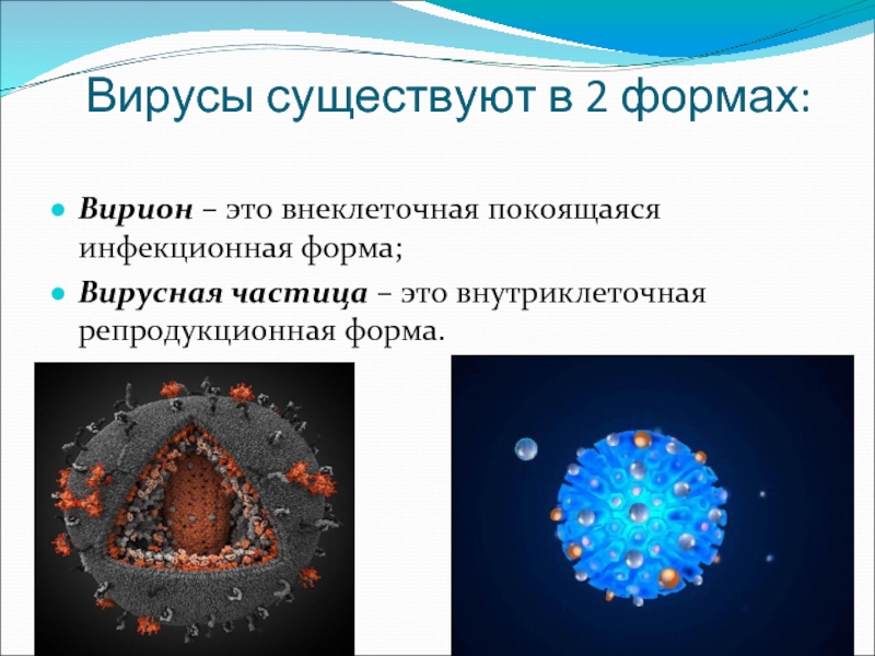 Общая вирусология презентация