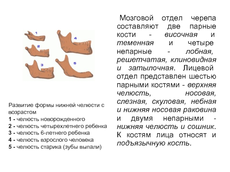 Пар кости ломит. Парные кости человека. Парные височные кости. Верхняя челюсть и нижняя - парные кости. Отдел черепа из 6 парных костей.