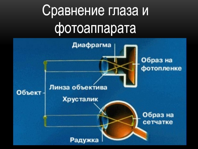 Охарактеризуйте изображение получаемое с помощью проекционного аппарата фотоаппарата