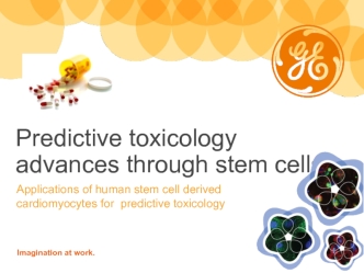 Predictive toxicology advances through stem cells