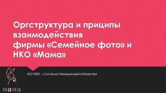 Оргструктура и приципы взаимодействия фирмы Семейное фото и НКО Мама