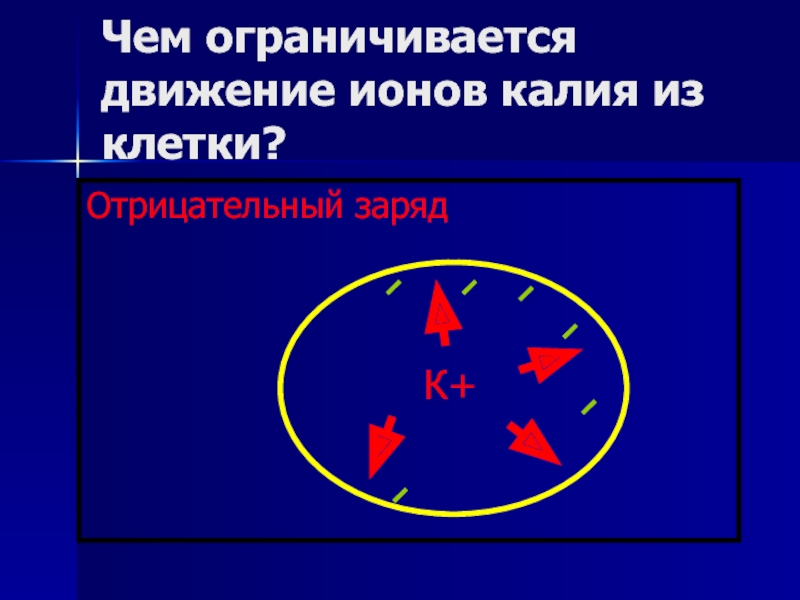 Заряд c. Заряд Иона калия. Движение Иона. Школьный опыт движение ионов.. Торможение движения Иона.