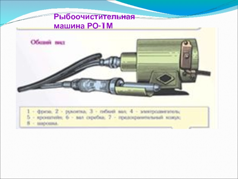 Назовите основные части машины пользуясь схемой рыбоочистительные машины