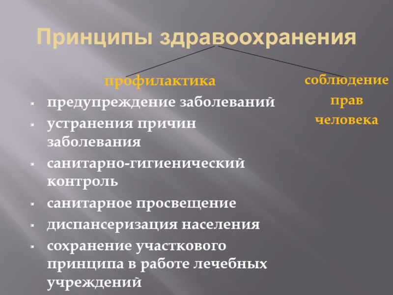 Принципы здравоохранения. Принципы санитарного Просвещения. Здравоохранение Участковый принцип. 12 Принципов здравоохранения.