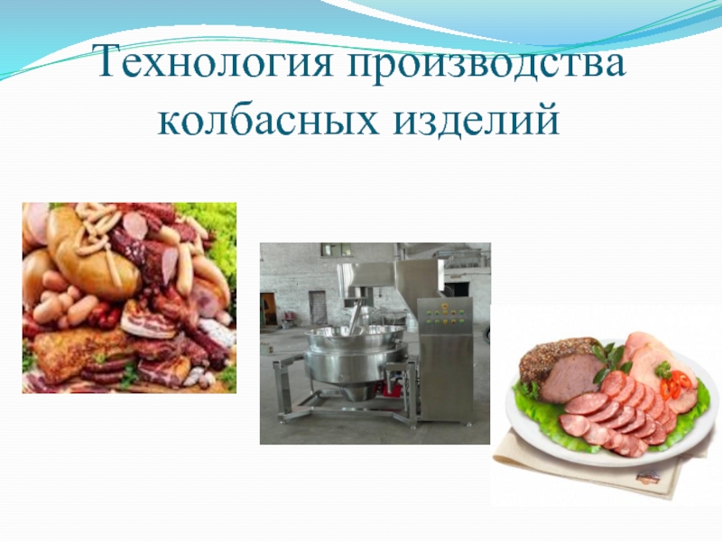 Реферат: Производство колбасы