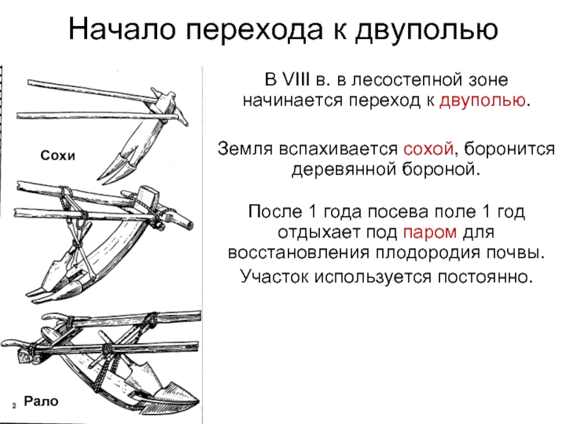 В чем преимущество двуполья