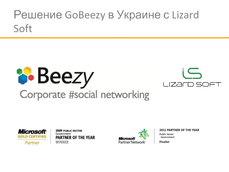 Решение GoBeezy в Украине с Lizard Soft