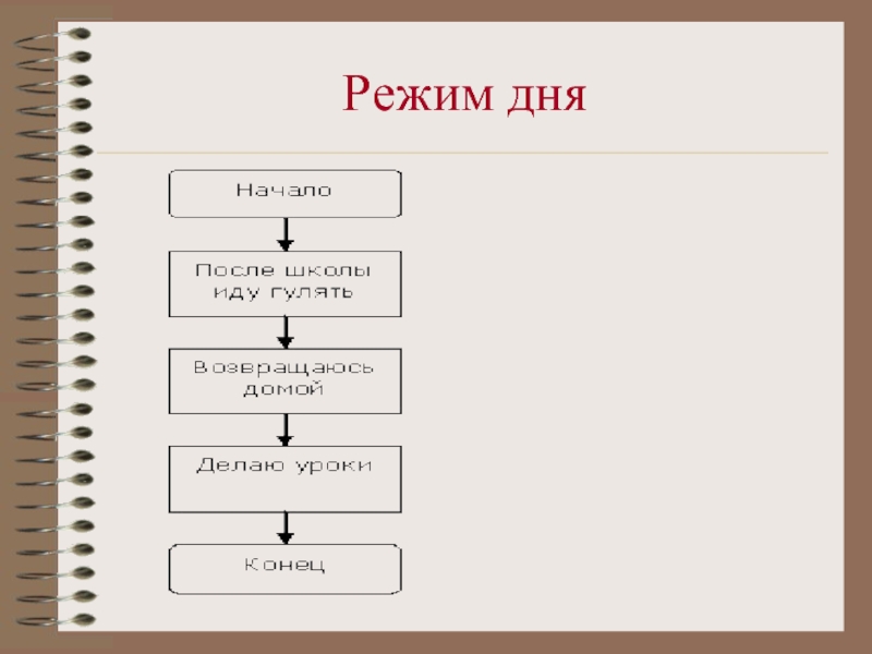 Виды дней. Алгоритм режим дня. Алгоритм распорядка дня. Блок схема режима дня. Линейный алгоритм распорядок дня.