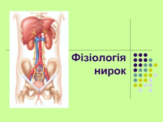 Фізіологія нирок