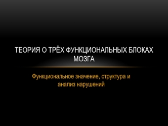 Теория о трёх функциональных блоках мозга. Функциональное значение, структура и анализ нарушений