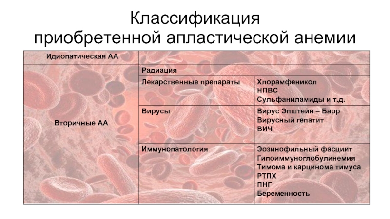 Клиническая картина приобретенной апластической анемии складывается из синдромов кроме