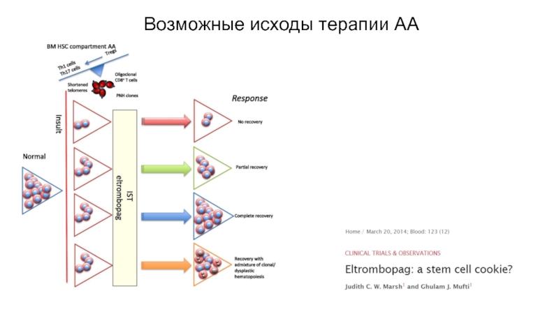 Апластическая анемия презентация, доклад