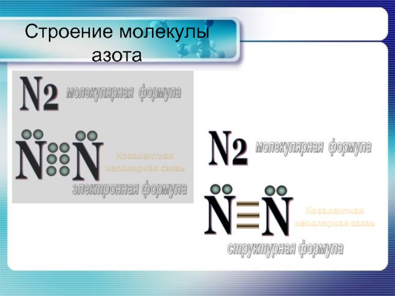 Определить массу одной молекулы азота