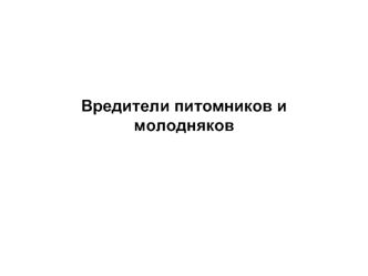 Вредители питомников и молодняков. (Лекция 5)