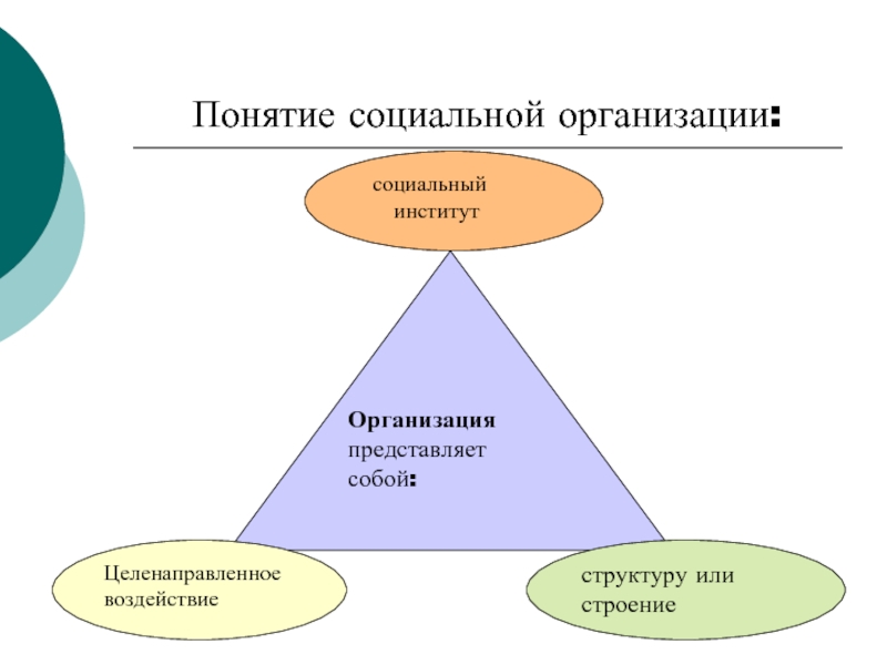 18 понятие. Понятие социального института. Понятие и типология социальных организаций. Проекти социальная организация. Понятие социальное.