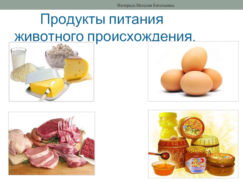 Продукт 16. Продукты питания животного происхождения. Продукты питания животного происхождения специальность. Диплом продукты питания животного происхождения. Пища животного происхождения способов приготовления.