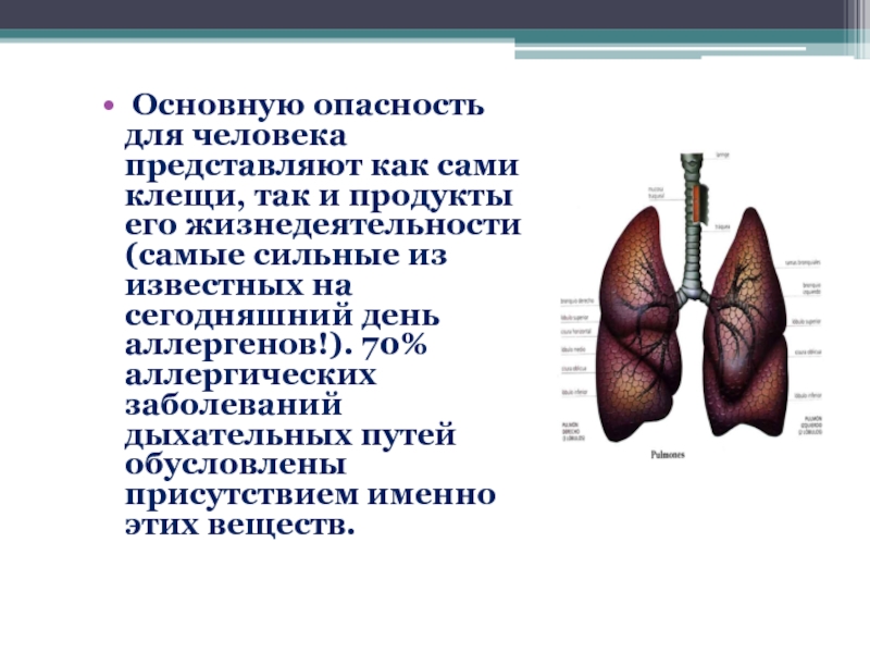 Что представляет основную опасность. Исследовательский проект опасная пыль. Болезни дыхания опасны для популяции.