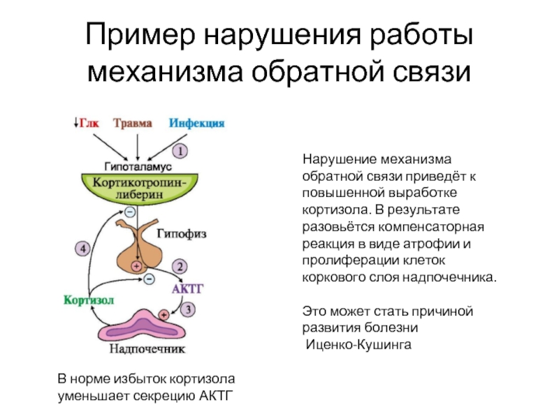 Схема механизма обратной связи