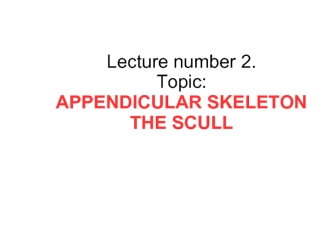 Appendicular skeleton the scull