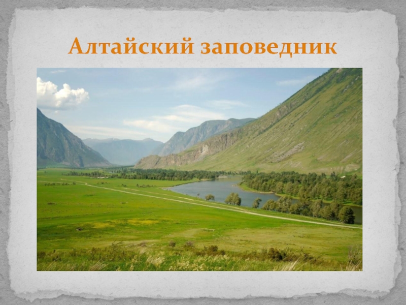 Заповедники заказники национальные парки памятники природы. Алтайский заповедник география 8 класс. Алтайский заповедник презентация. Презентация на тему Алтайский заповедник. Презентация на тему Алтайский заповедник 5 класс.