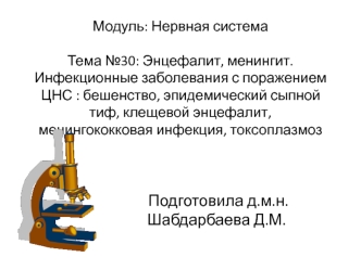 Энцефалит, менингит. Инфекционные заболевания с поражением ЦНС: бешенство, эпидемический сыпной тиф, клещевой энцефалит