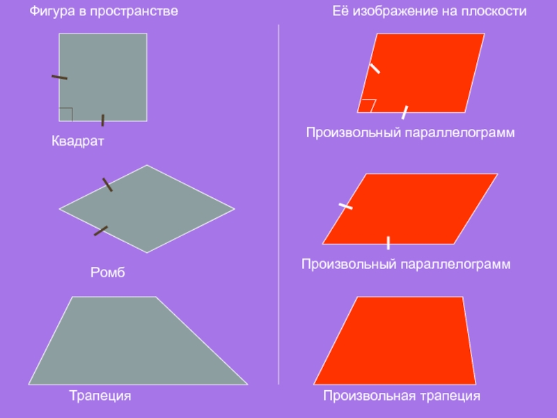 Произвольная трапеция рисунок