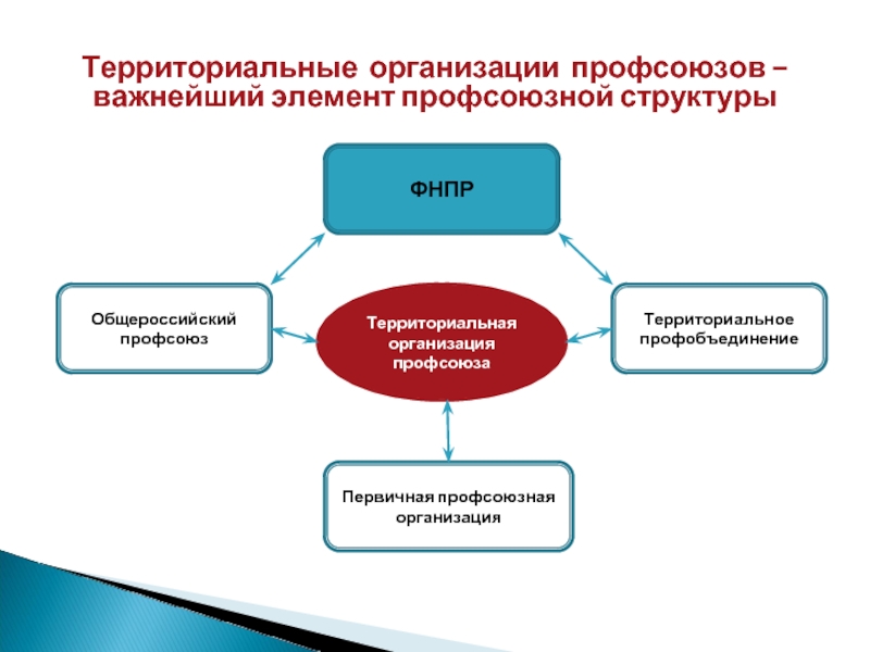 Структура первичной профсоюзной организации схема