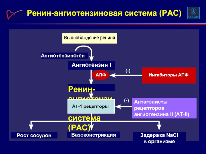 Ангиотензина ii