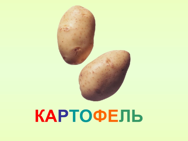 Картинки овощей картофель