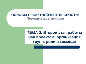 Второй этап работы над проектом: организация групп, роли в команде