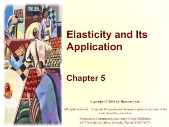 Elasticity and Its Application