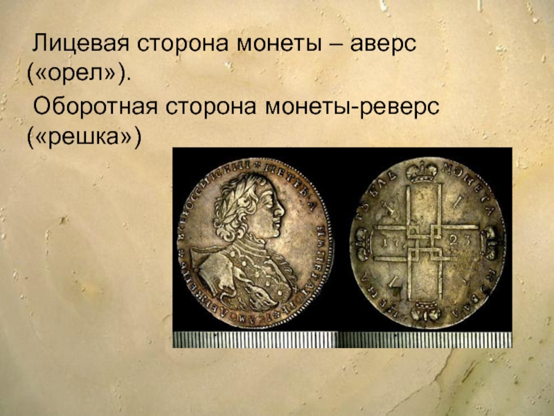 Лицевая сторона монеты 5. Аверс и реверс монеты Орел и Решка. Лицевая сторона монеты. Оборотная сторона монеты. Реверс (сторона монеты).