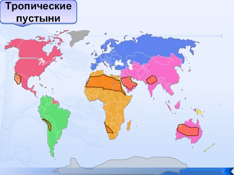 Покажите на карте тропики. Тропики на карте мира. Тропическая зона на карте мира. Где находятся тропические пустыни. Тропические пустыни положение на карте.