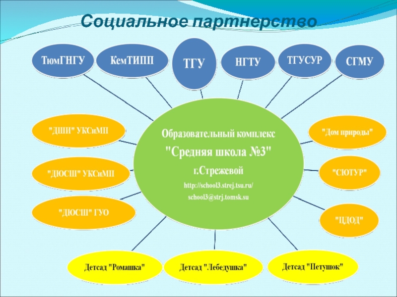 8 социальных. Социального партнерства в инклюзивном образовании. Модель социального партнерства ДОУ С социумом. Социальное партнерство пироги.