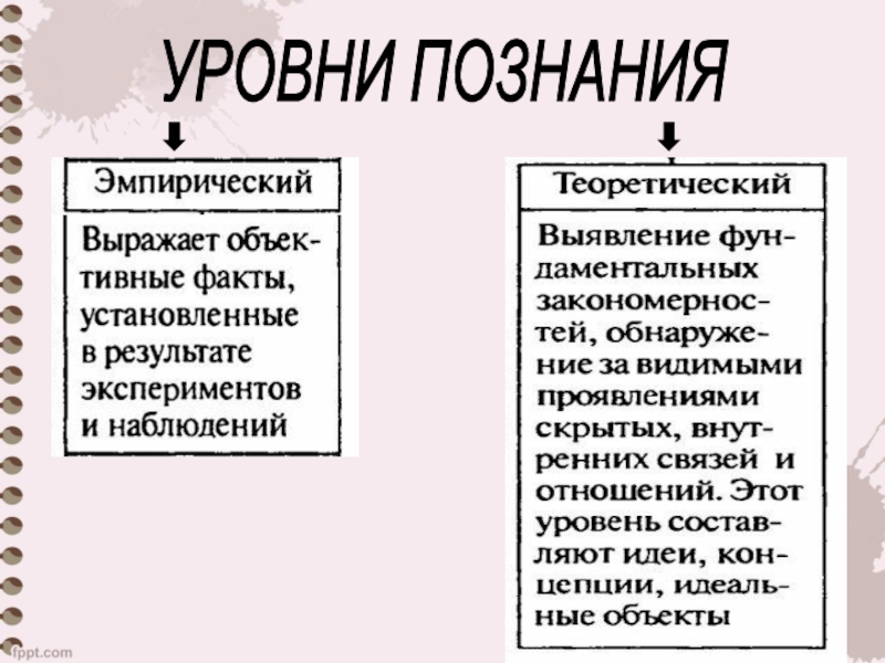 Схема уровней научного познания