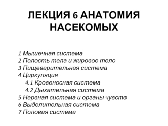 Анатомия насекомых