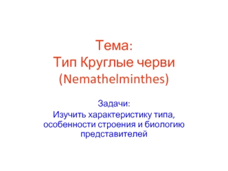 Тип Круглые черви