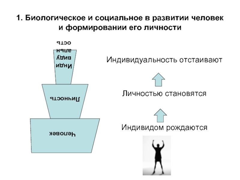 Источник социального развития человека