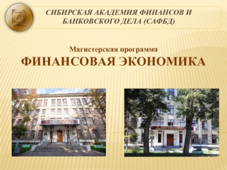 Сибирская академия финансов и банковского дела (САФБД)