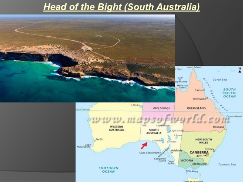 Head of the Bight (South Australia)