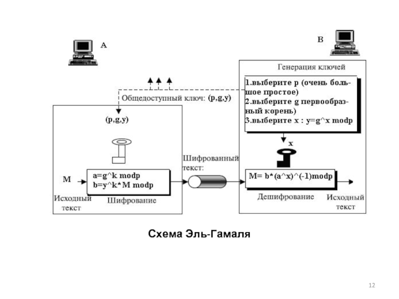 Отличие схемы эль гамаля от rsa