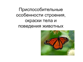 Приспособительные особенности строения, окраски тела и поведения животных