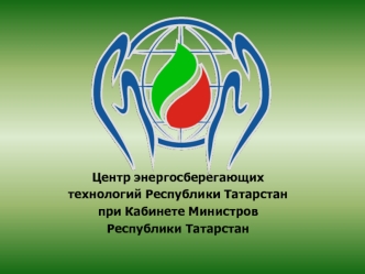 Центр энергосберегающих 
технологий Республики Татарстан
при Кабинете Министров 
Республики Татарстан