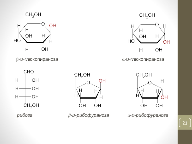 Рибоза реакция гидролиза. 1 Фосфат бета д рибофураноза. B D глюкопираноза формула. 5 Фосфат Альфа д рибофураноза. Α-D-альтропираноза.