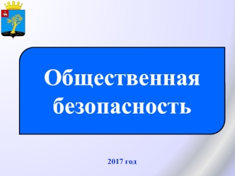 Общественная безопасность. Отчет за 2017 год