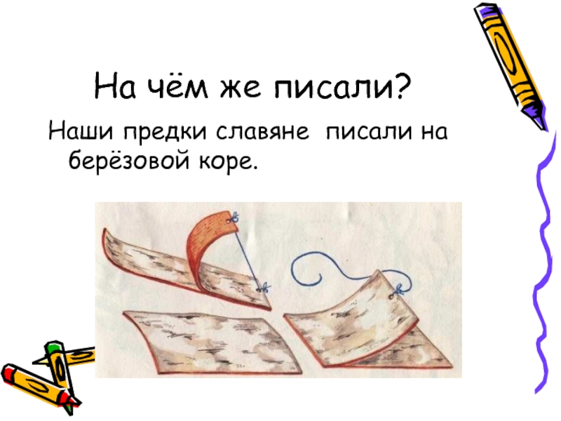 На чём же писали?Наши предки славяне писали на берёзовой коре.