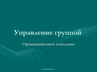 Управление группой. Организационное поведение