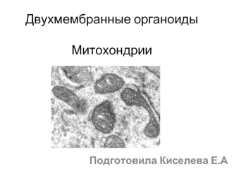 Двухмембранные органоиды. Митохондрии