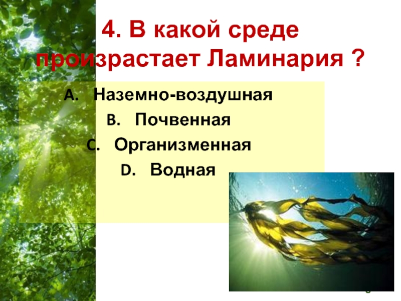 Особенность среды водная наземно воздушная почвенная организменная. Ламинария водная или наземно воздушная.