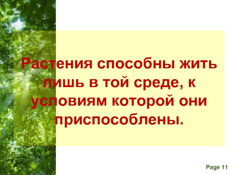 Растения не способны. Они приспособились жить.